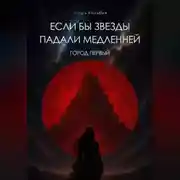 Постер книги Если бы звезды падали медленней. Город первый