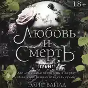 Постер книги Любовь и смерть