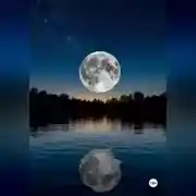 Постер книги Инженерия сумеречного порога