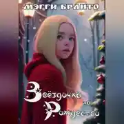 Постер книги Звёздочка на Рождество