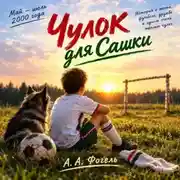 Постер книги Чулок для Сашки