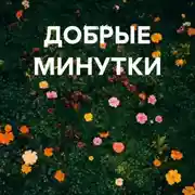 Постер книги ДОБРЫЕ МИНУТКИ