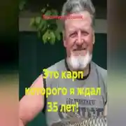 Постер книги Это карп которого я ждал 35 лет!
