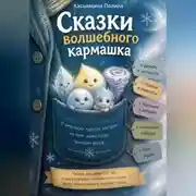 Постер книги Сказки вoлшебнoгo кармашка