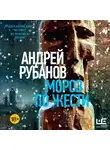 Андрей Рубанов - Мороз по жести