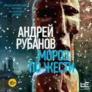 Постер книги Мороз по жести