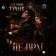 Постер книги Ты мне не враг