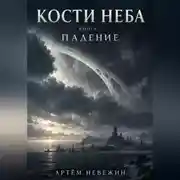 Постер книги Кости Неба-1. Падение