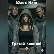 Постер книги Третий лишний?