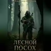 Постер книги Лесной посох