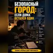 Постер книги Безопасный город: Если дома остался один