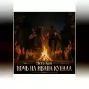 Постер книги Ночь на Ивана Купала