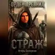 Постер книги Страж