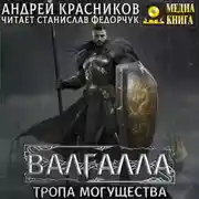 Постер книги Валгалла VI. Тропа могущества