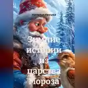 Постер книги Зимние истории из царства Мороза