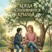 Постер книги Когда распахиваются крылья