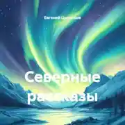 Постер книги Северные рассказы