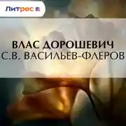 Постер книги С.В. Васильев-Флеров