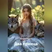 Постер книги Два принца