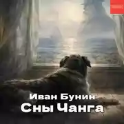 Постер книги Сны Чанга