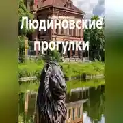 Постер книги Людиновские прогулки
