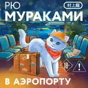 Постер книги В аэропорту