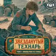Постер книги Звезданутый Технарь: Мальчик из Ямы