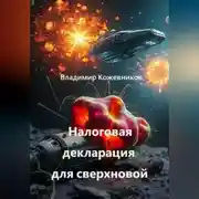Постер книги Налоговая декларация для сверхновой