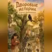 Постер книги Дворовые истории
