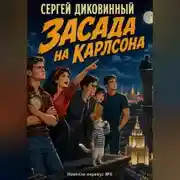 Постер книги Засада на Карлсона