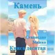Постер книги Камень. Книга десятая