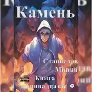 Постер книги Камень. Книга одиннадцатая