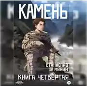 Постер книги Камень. Книга четвертая