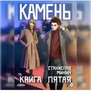 Постер книги Камень. Книга пятая