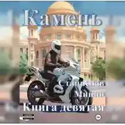 Постер книги Камень. Книга девятая