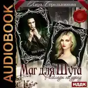 Постер книги Маг для Шута. Расклады на удачу