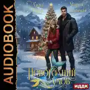 Постер книги Новогодний улов