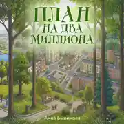Постер книги План на два миллиона