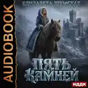 Постер книги Записки маленькой ведьмы. Книга 9. Пять камней