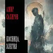 Постер книги Косница. Элегия
