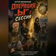 Постер книги Операция Ы: сессия