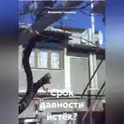 Постер книги Срок давности истёк? Каюсь!