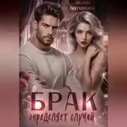 Постер книги Брак определяет случай