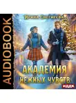 Ирина Снегирева - Академия нежных чувств