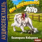 Постер книги Мое неправильное лето