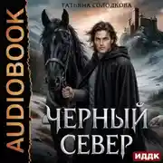 Постер книги Черный север