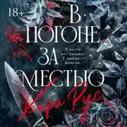 Постер книги В погоне за местью