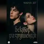 Постер книги Вектор разрушения