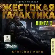 Постер книги Кротовые норы