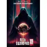 Постер книги Путь одиночки. Книга 12